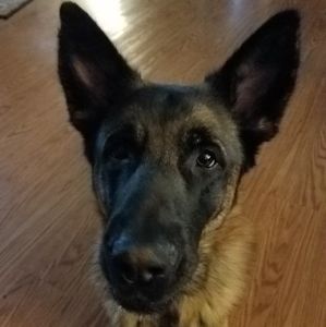 Meet your Posher, Billy